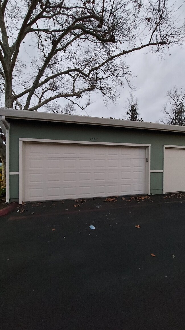 Building Photo - 1540 Ivycreek Cir