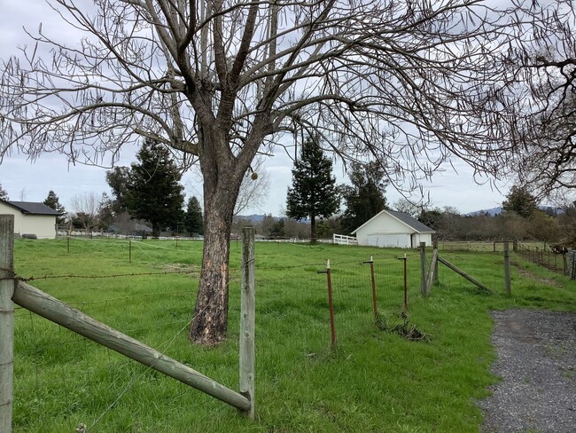 Building Photo - One bedroom ADU in rural Sebastopol