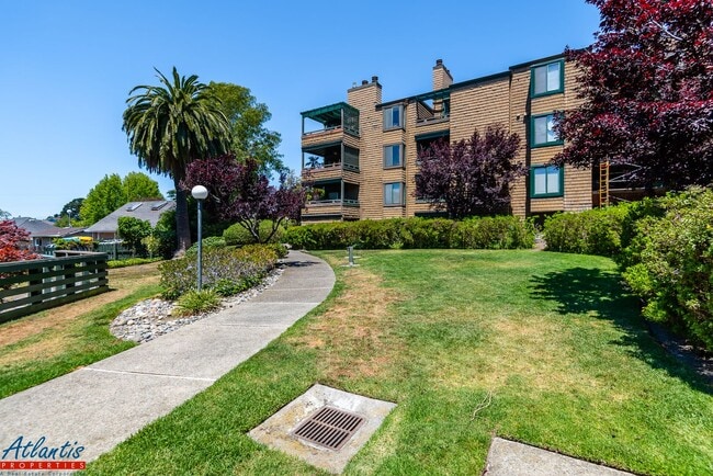 Building Photo - Pacific Terrace | Spacious Condo | Washer/...