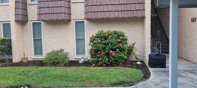 Primary Photo - 107 Aspen Cir