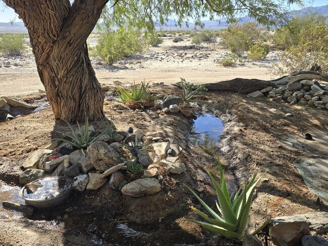 Building Photo - For Rent – Private Desert Retreat in Wonde...