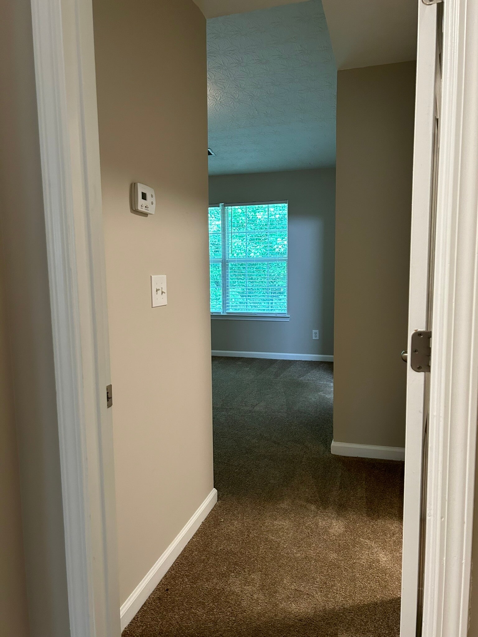 Primary bedroom - 2916 Vining Ridge Ter