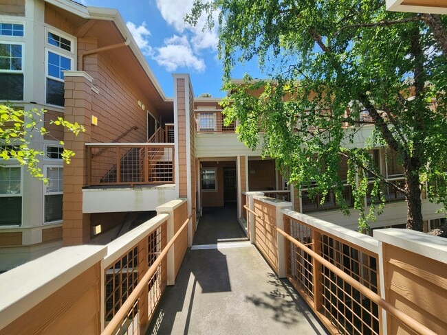 Building Photo - Beautiful Brisbane condo