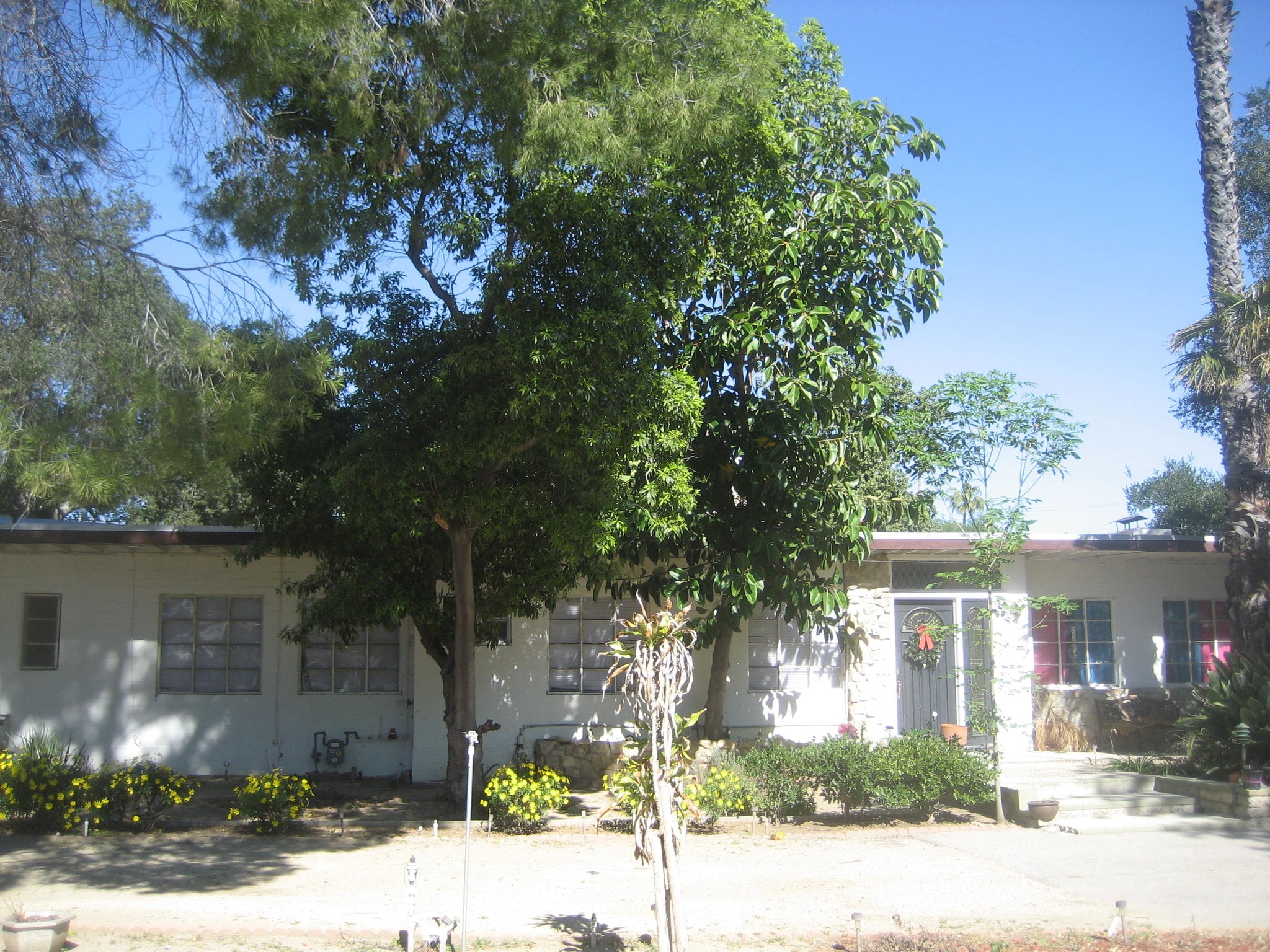 Building Photo - 17841 Tribune St