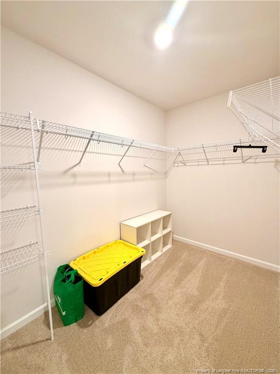 Building Photo - 305 Roberts Pl