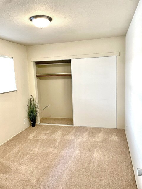 bedroom 2 - 369 palm ave