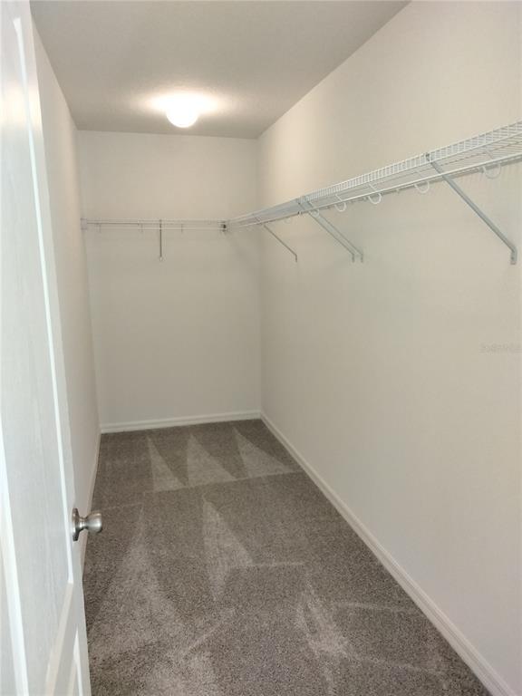 Building Photo - 707 Scrub Oak Hammock Rd
