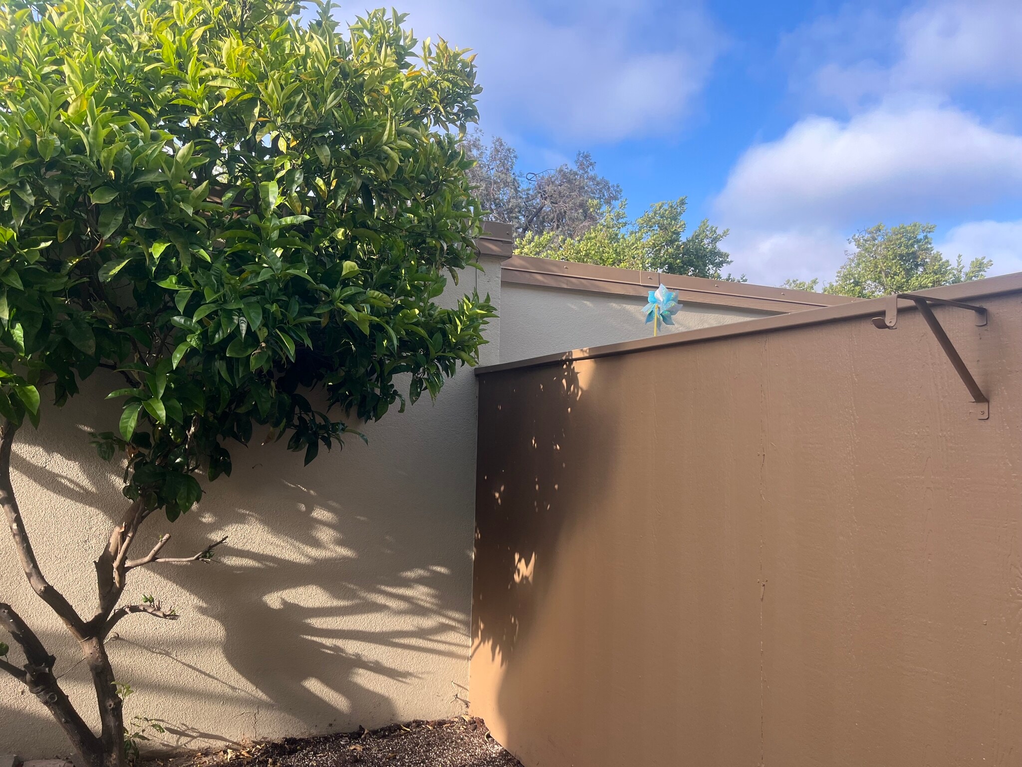 Building Photo - 3026 Cerro Vista