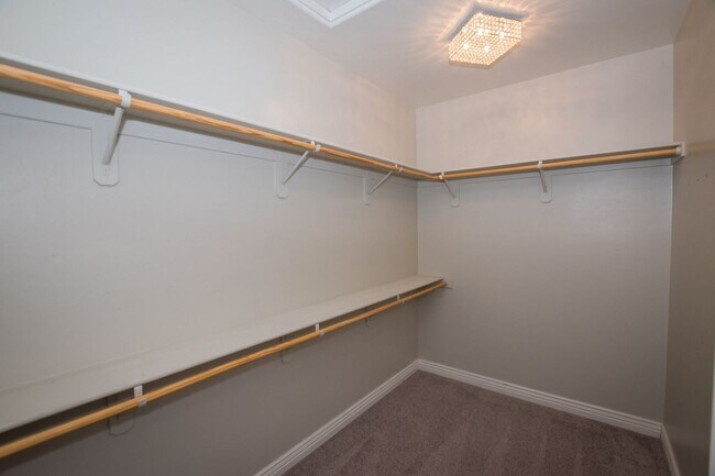 Building Photo - Executive home in The Estates at Holiday! ...