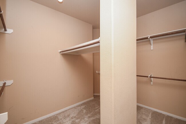 Building Photo - 26719 Wolfs Hill Ln