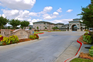 Building Photo - Magnolia at Mesquite Creek