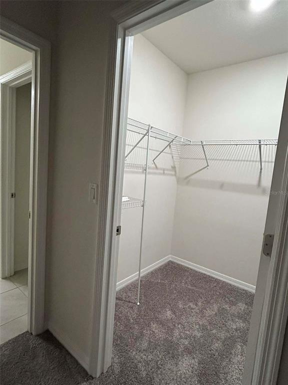 Building Photo - 3197 Royal Tern Dr