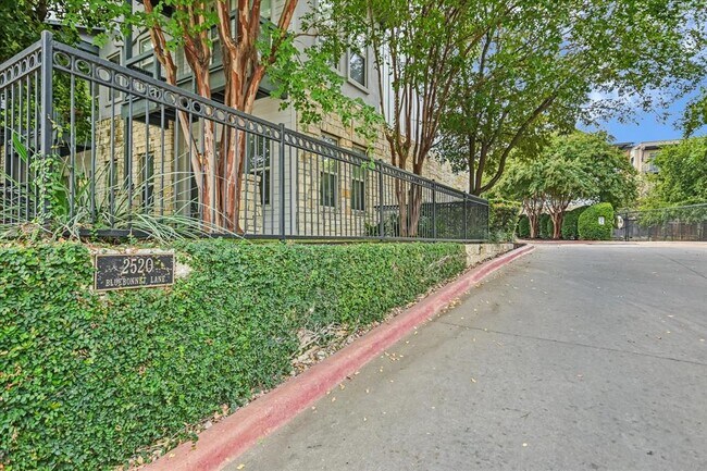 Primary Photo - 2520 Bluebonnet Ln