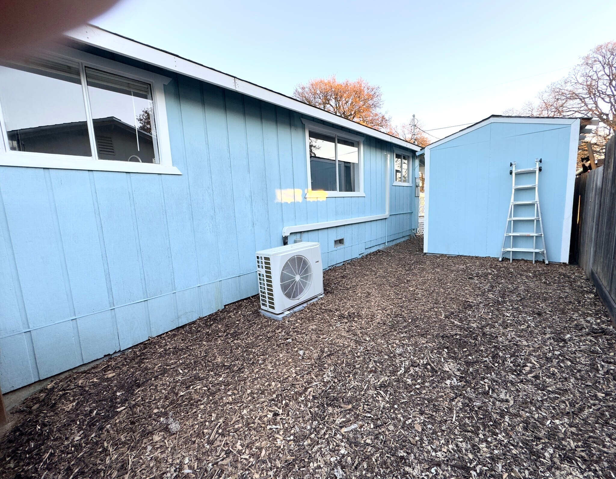 Side yard looking back toward storage shed - 16060 39th Ave