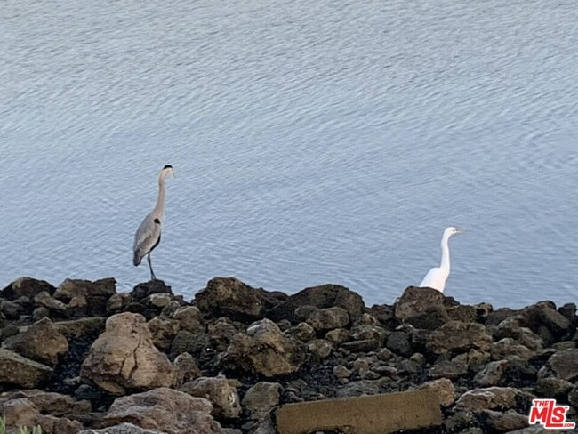 Building Photo - 6623 Esplanade