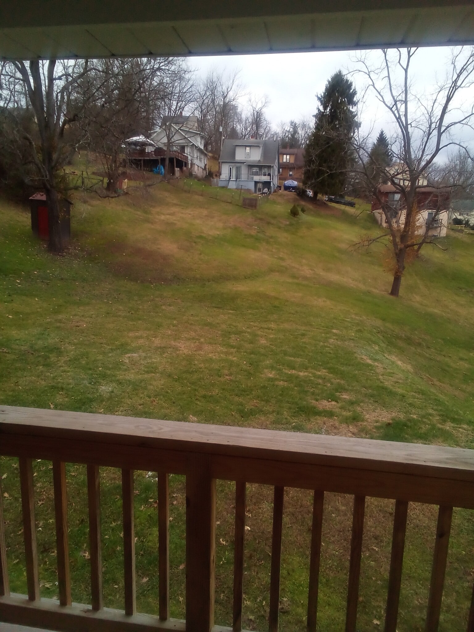 Back Yard - 126 Euclid Pl