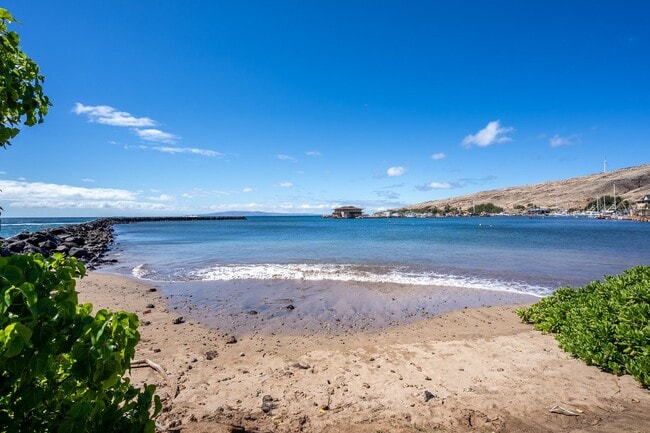 Building Photo - Furnished, One Bedroom/One Bathroom, Ocean...