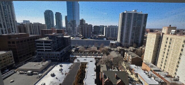 Building Photo - 1221 N Dearborn Pkwy