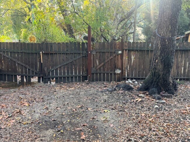 Building Photo - Cachagua (18800)