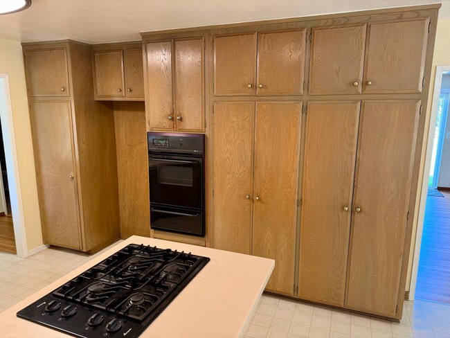 Building Photo - Single Story 4 Bedroom Ranch Style Home in Anaheim!