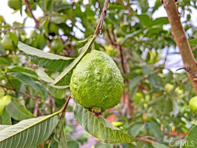 Building Photo - 3320 Campus Ave