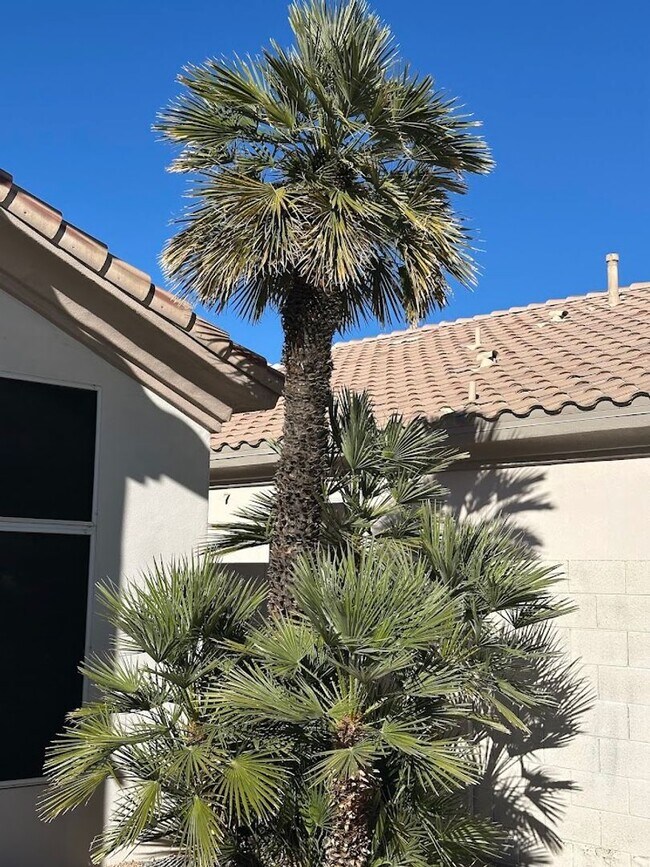 Building Photo - Gorgeous 4 bedroom Scottsdale home with POOL and 3 car garage