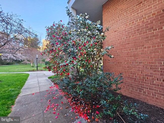 Building Photo - 4201 Cathedral Ave NW