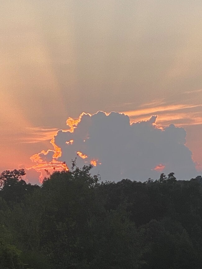 Building Photo - 149 Bowen Farm Rd