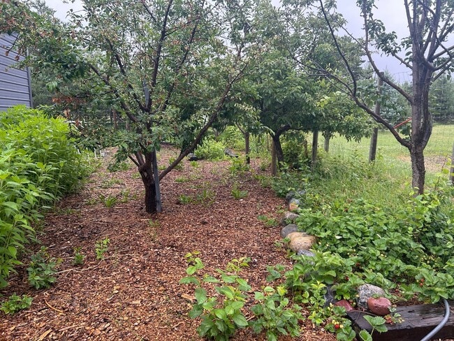 Building Photo - Amazing Home on the River with Greenhouse,...
