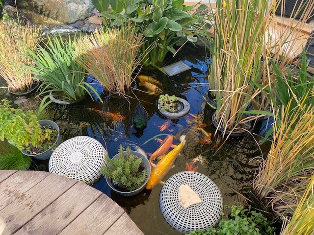 Building Photo - 433 S Fairview St