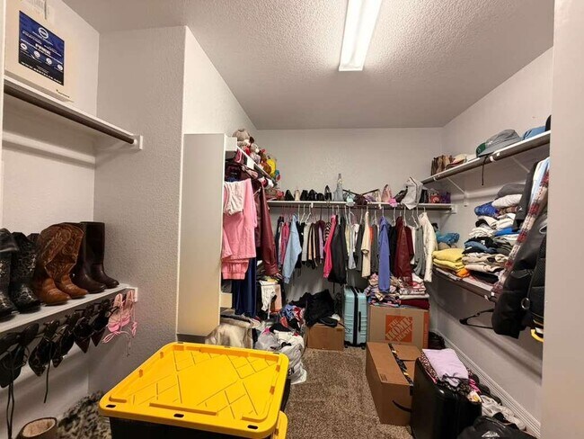 Building Photo - 3608 Lunet Ring Way