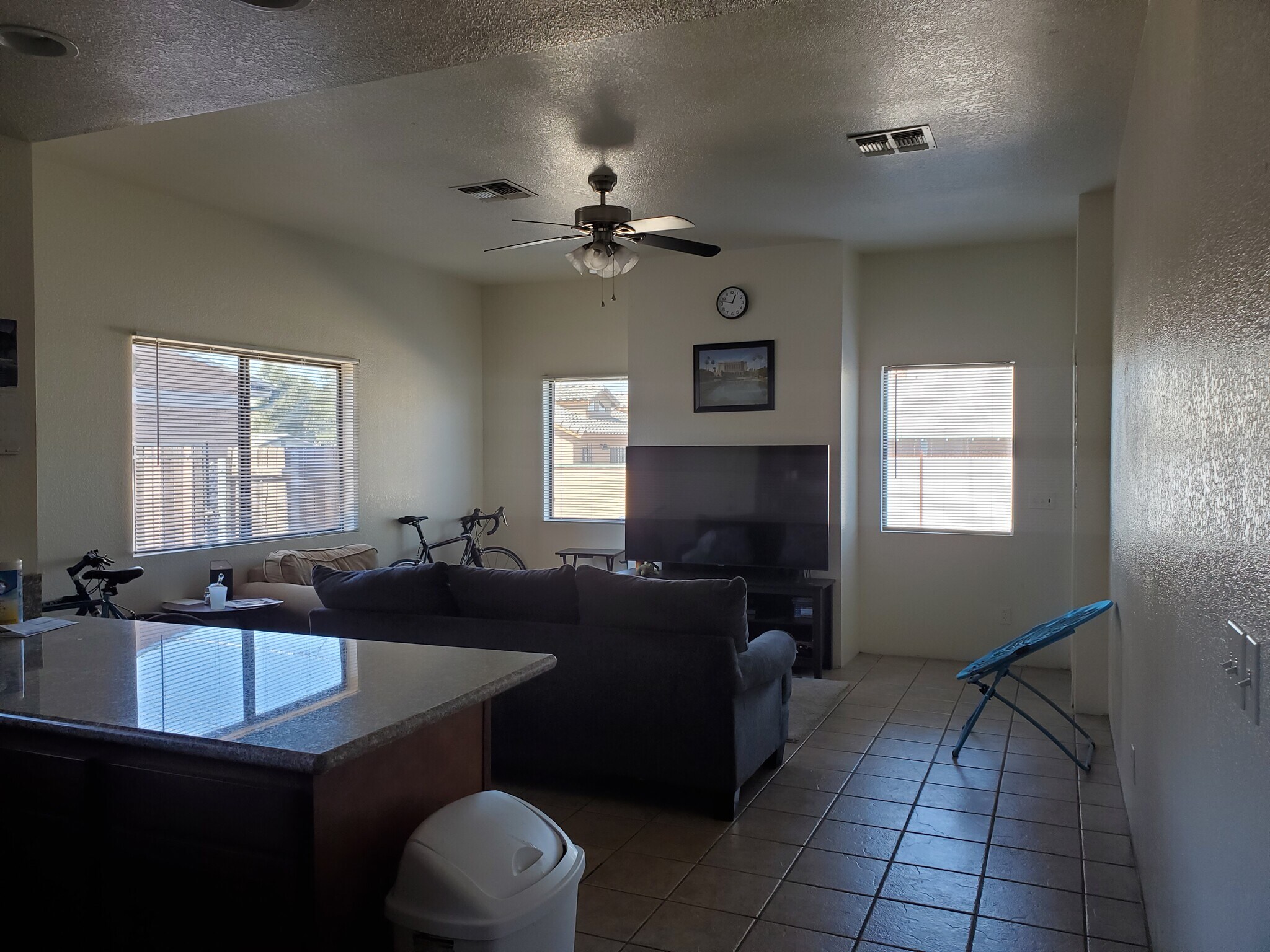 Spacious living room with fireplace - 1141 E Elm St