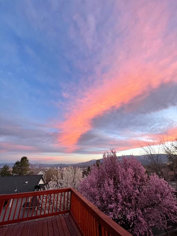 Building Photo - 3325 Socrates Dr