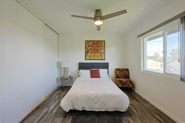 Building Photo - 2437 D St