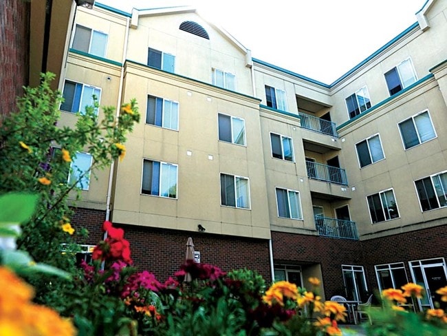 Primary Photo - Divine Suites