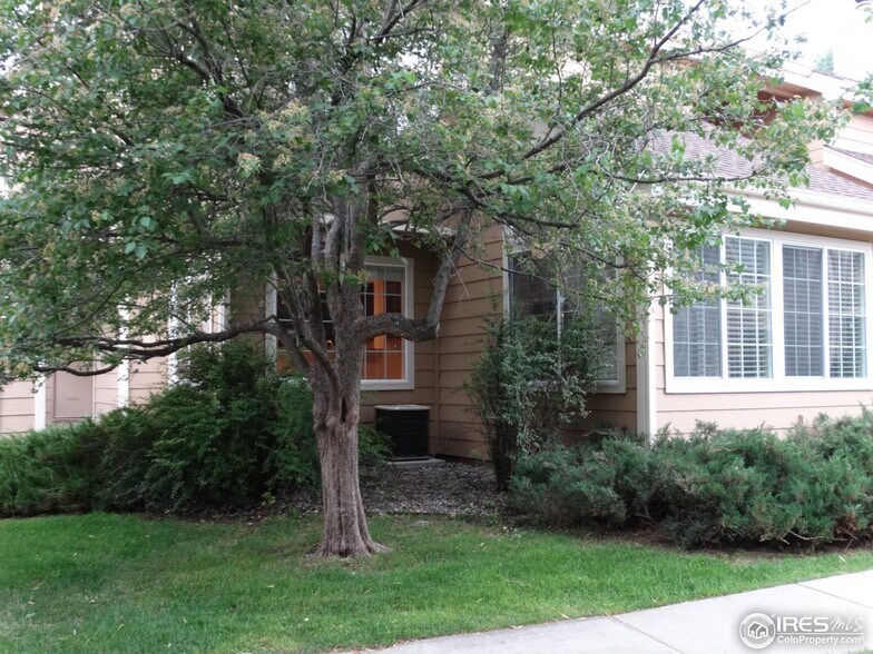 Building Photo - 4879 White Rock Cir