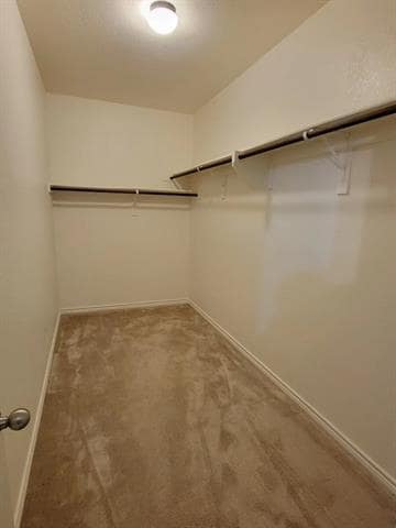 Building Photo - 1537 Castle Creek Dr