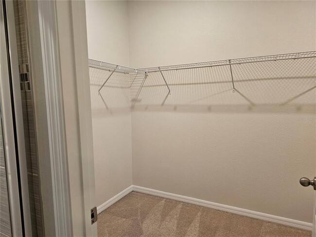 Building Photo - 4078 Pindo Palm Ln