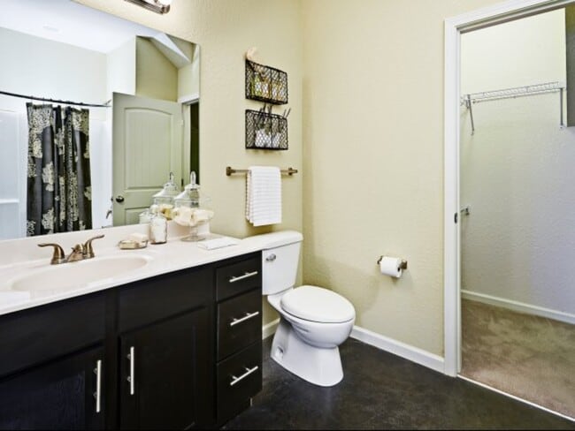 bathroom, black set - Cobalt Row