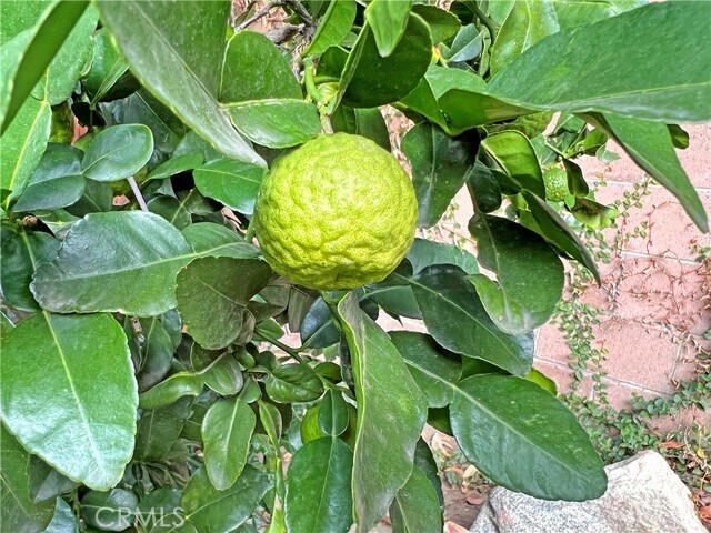 Building Photo - 3320 Campus Ave