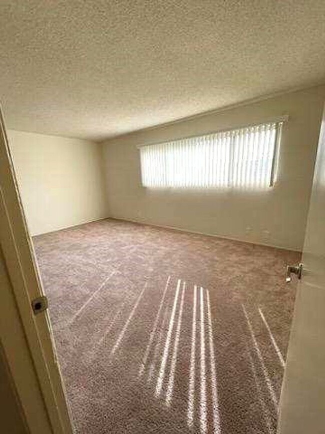 Building Photo - Memorial Apartments- Spacious  Clean 2 Bed...