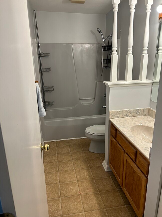 Master bath - 111 Franklin Ave