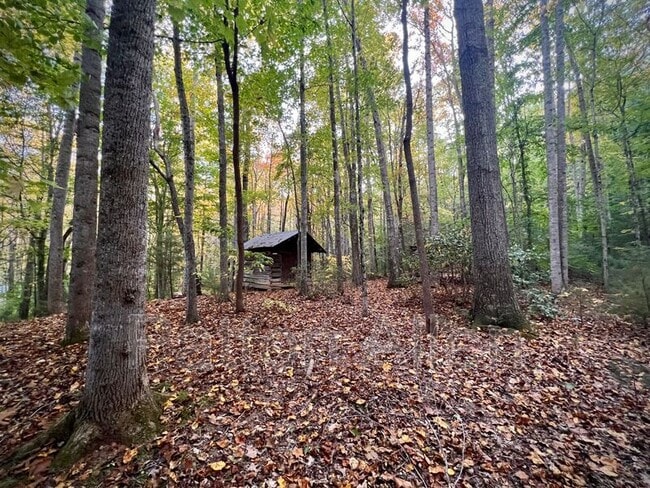 Building Photo - 575 Beaverdam Rd