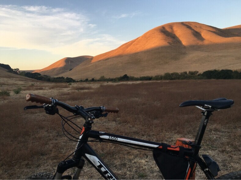 Building Photo - 231 Goldback Ct