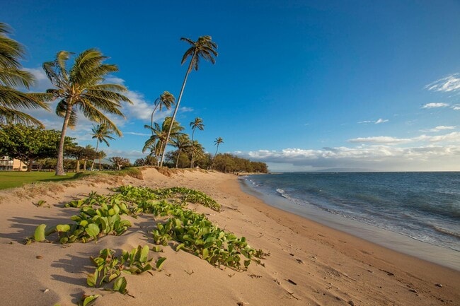 Building Photo - Maui Sunset Condo!! LOCATION, LOCATION, LOCATION!!