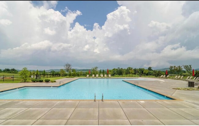 Building Photo - 1444 Channing Dr