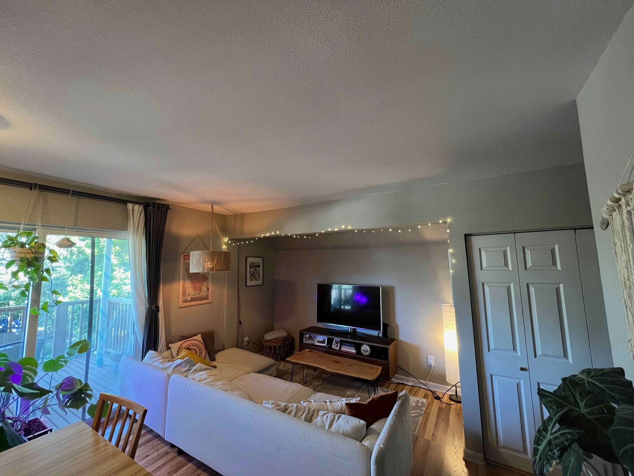 102 living room view 2 - 631 N Garden St