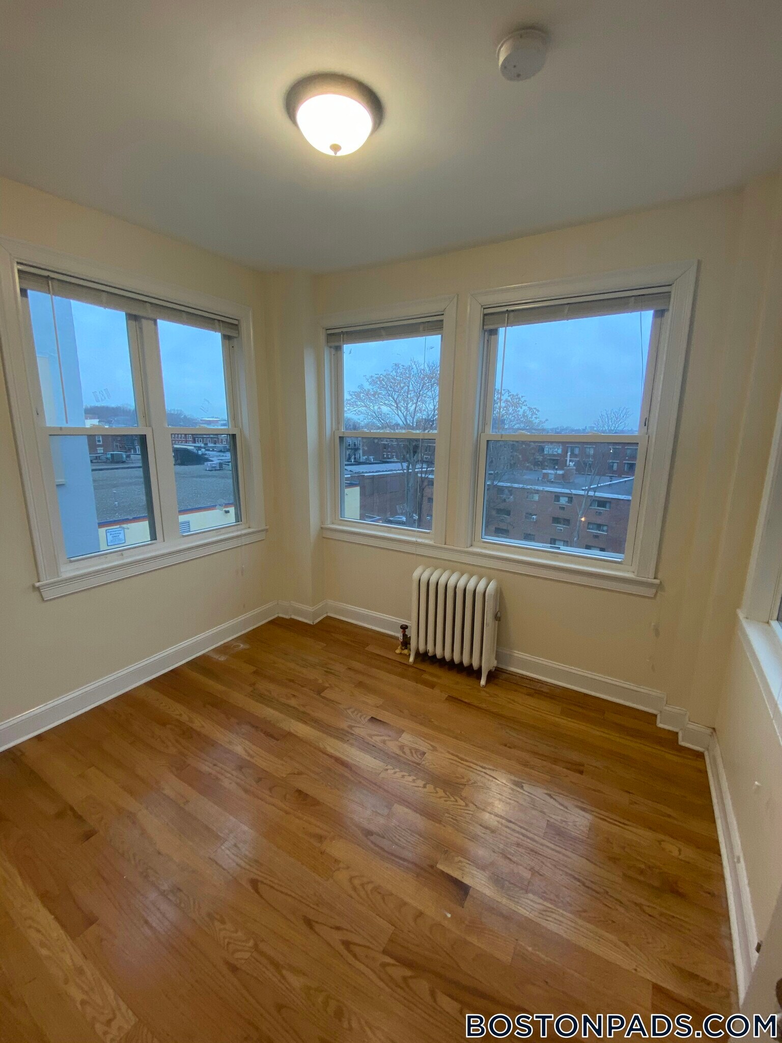 Building Photo - 244 Kelton St