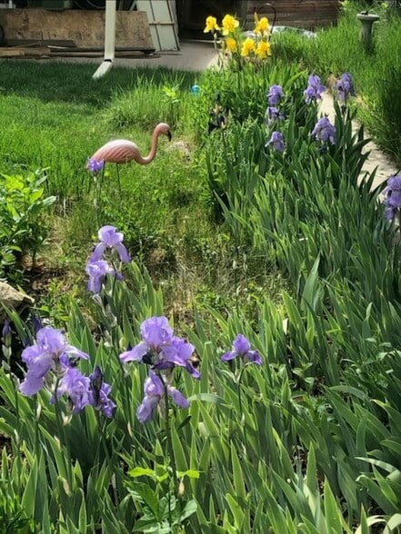 Building Photo - 2934 S Zurich Ct