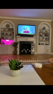 Fireplace & Built-in Bookcases - 2000 N Lincoln Park W